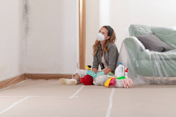 Reliable Mold Remediation contractor in Petersburg, VA by Car Mold Remediation
